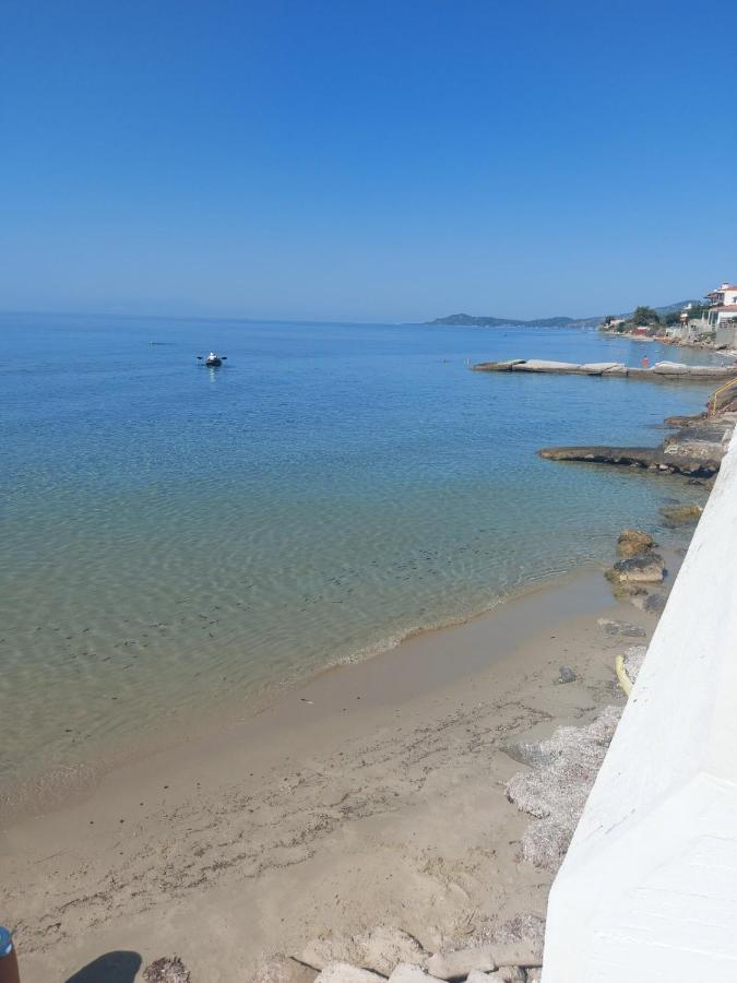 Pansion Alexandros By The Sea Aparthotel Néa Skióni Eksteriør bilde