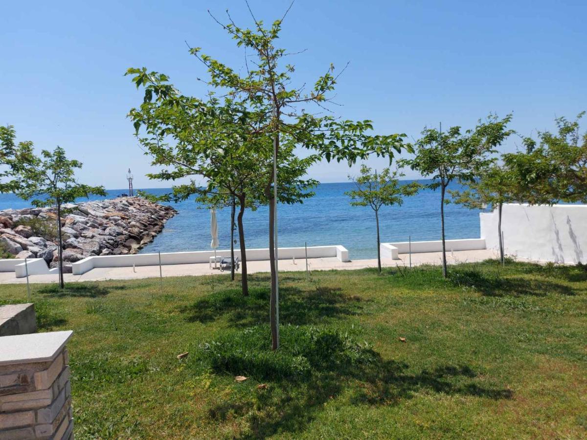 Pansion Alexandros By The Sea Aparthotel Néa Skióni Eksteriør bilde